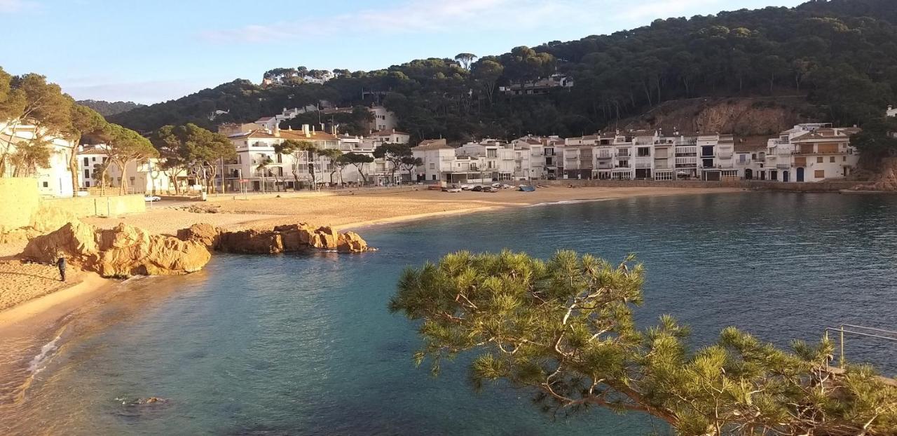 Precioso apartamento con piscina en Tamariu Exterior foto